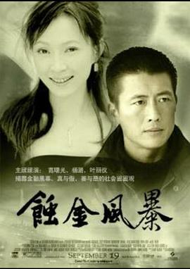 蚀金风暴免费观看