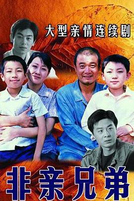 非亲兄弟免费观看