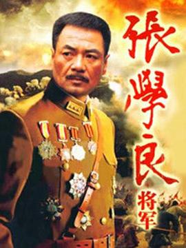 张学良将军免费观看