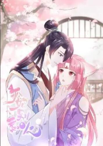 狐妃，别惹火免费观看