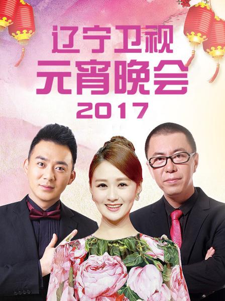 辽宁卫视元宵晚会 2017免费观看