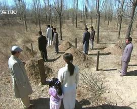 不良英雄免费观看