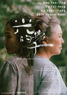 光的孩子免费观看