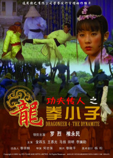 功夫传人之龙拳小子免费观看