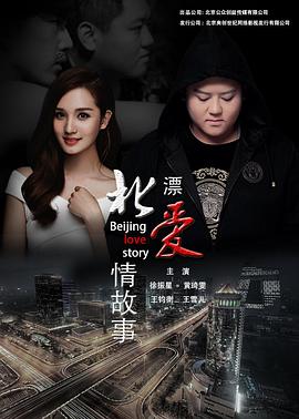 北漂爱情故事2016免费观看