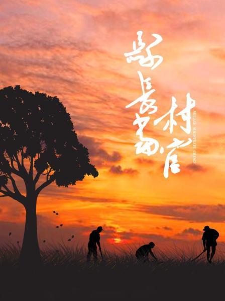 县长当村官免费观看