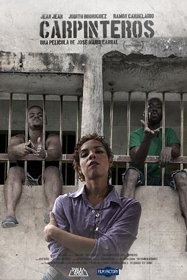 啄木鸟免费观看