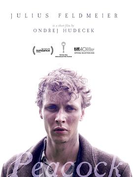 孔雀2015免费观看