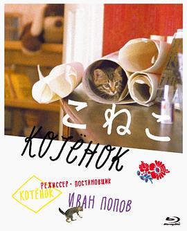 小猫虎子免费观看