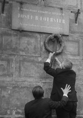 我们的费尔斯特先生去世了免费观看