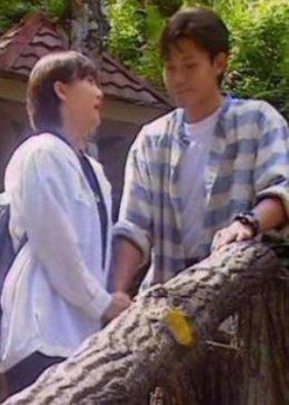 最后一个乘客免费观看