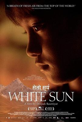 灿烂阳光免费观看