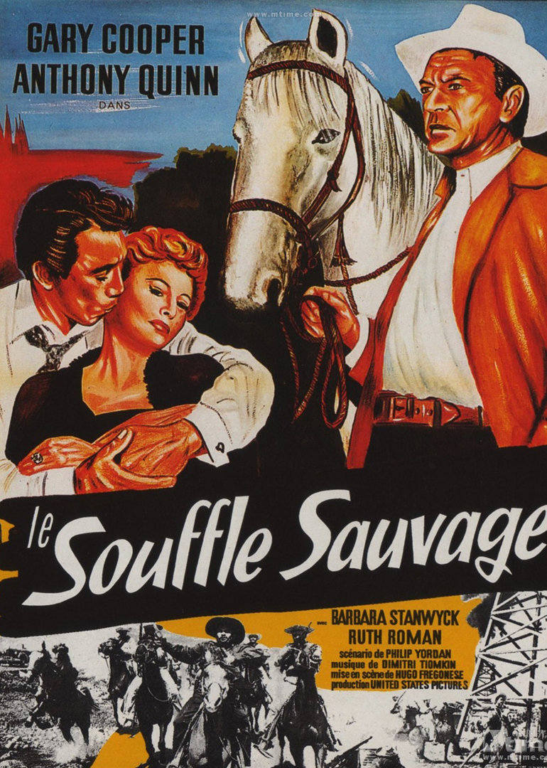 狂风飞絮免费观看