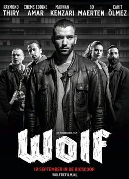 狼（2013）免费观看