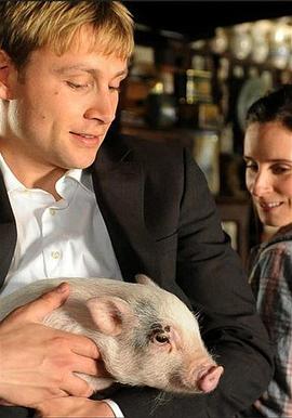 绝对保险免费观看