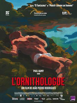 鸟类学家免费观看