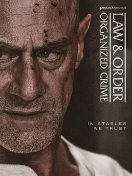 法律与秩序：组织犯罪 第五季免费观看