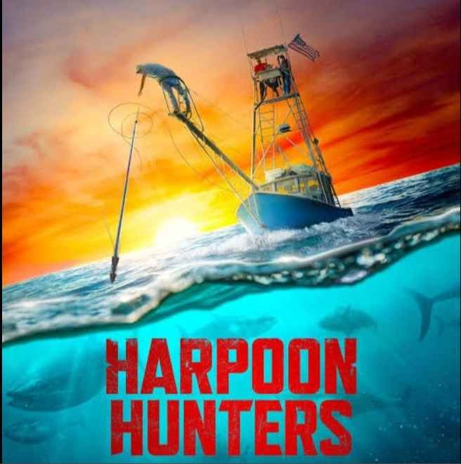 用鱼叉猎黑鲔免费观看