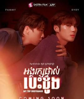 我的顶级保镖免费观看